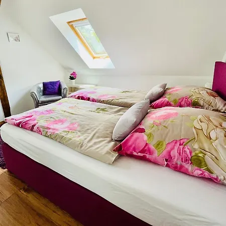 Apartment Friedrich *